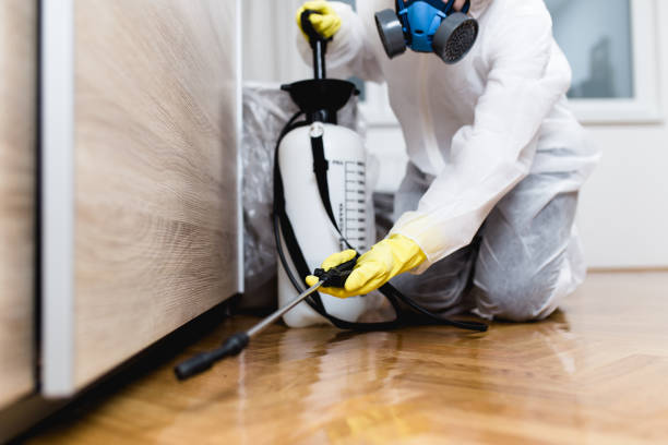 Flea Control Services in Fairview Shores, FL