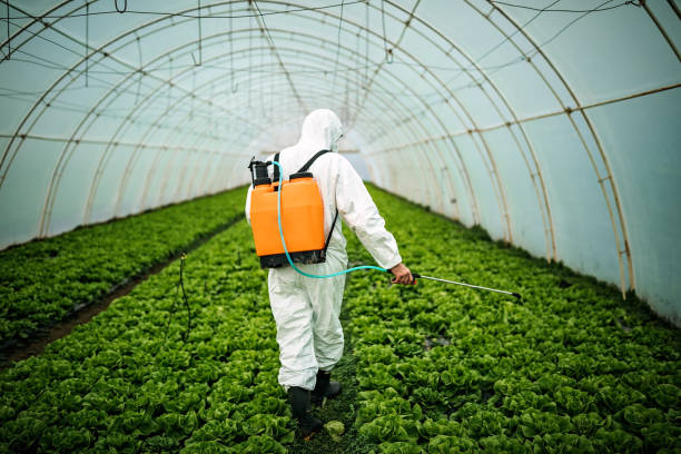 Best Commercial Pest Control Services  in Fairview Shores, FL