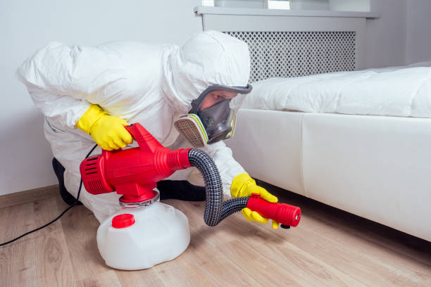Best Wasp Removal Services  in Fairview Shores, FL