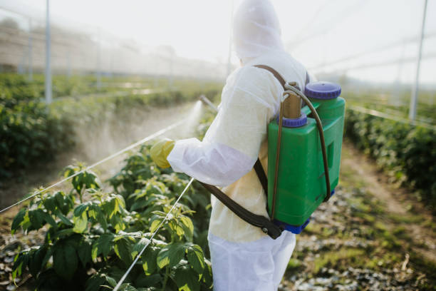 Best Pest Control Near Me  in Fairview Shores, FL